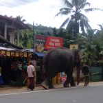 Sri Lanka